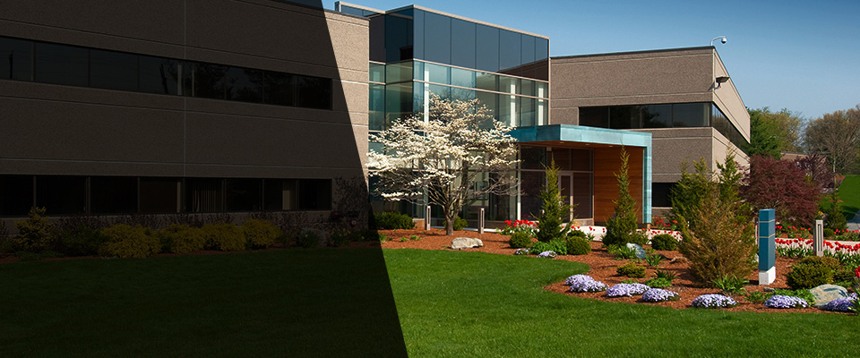 Roosevelt Landscapers