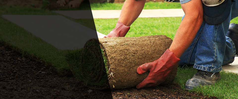 Roosevelt Landscapers